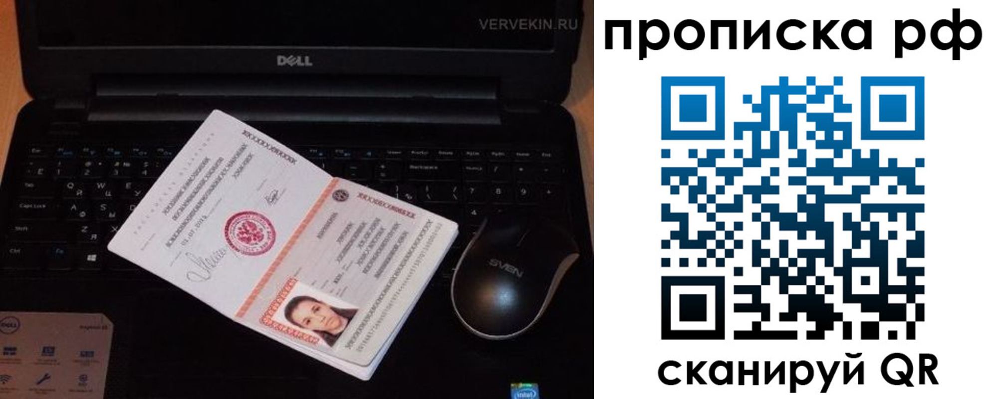 регистрация в Ярославской области